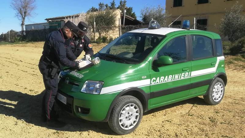 Potenza Picena: campo da golf abusivo. Scatta la denuncia forestale con auto