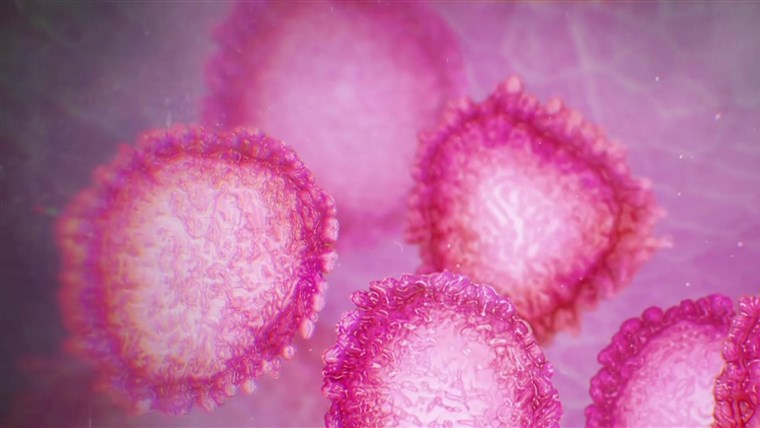La mappa del contagio, Comune per Comune, nelle Marche coronavirus-1
