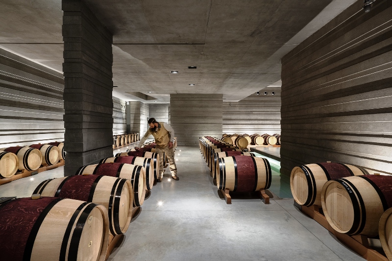 La luce di iGuzzini illumina la Cantina Masseto.