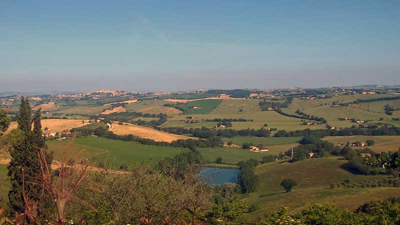Montefano: all’asta l’affitto di un terreno agricolo