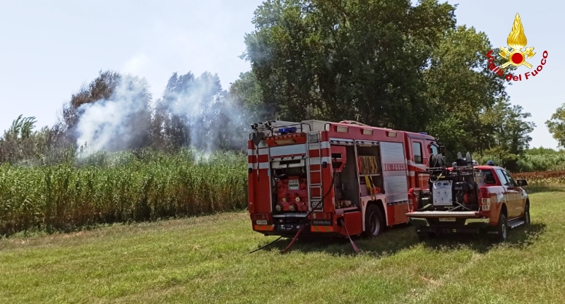 Incendio di un palmeto a Porto Recanati.