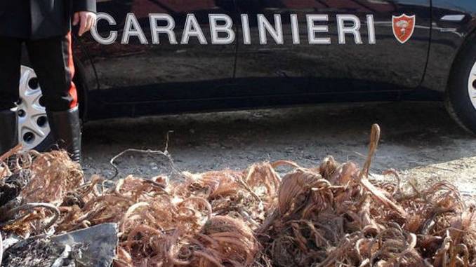 Muccia: arrestato dai Carabinieri perchè sorpreso a rubare rame in un edificio disabitato.