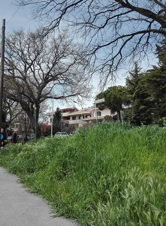 Recanati: arriva la primavera e ci si prepara al taglio dell’erba