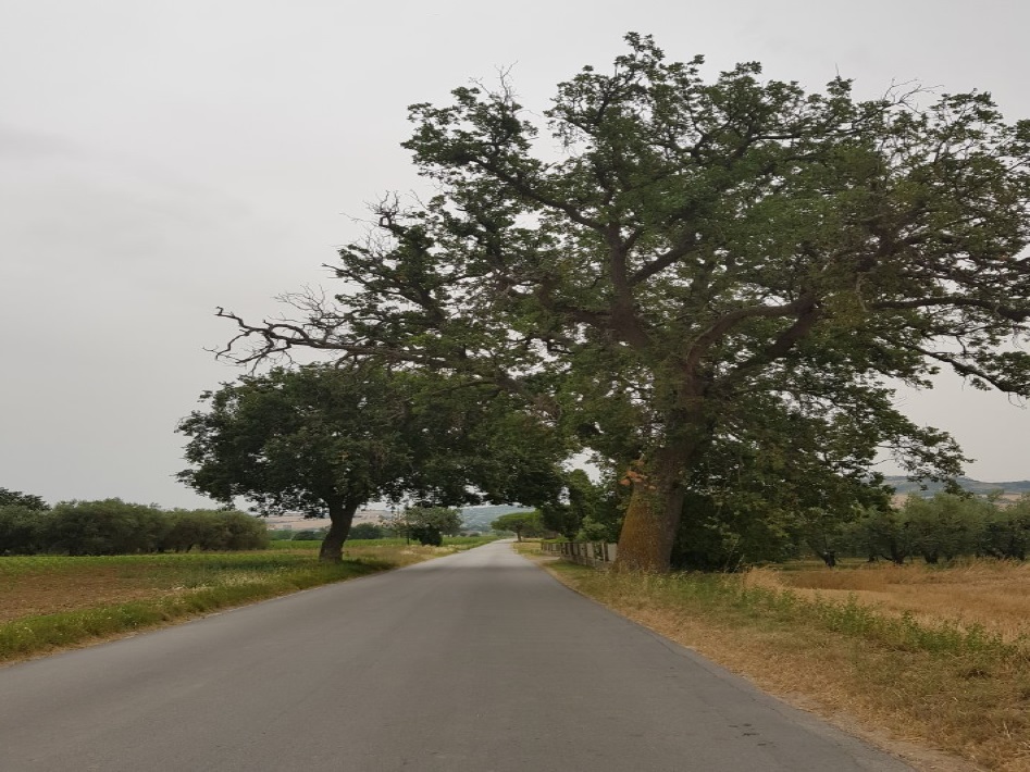 La strada comunale c.da San Pietro è pericolosa per automobilisti e pedoni