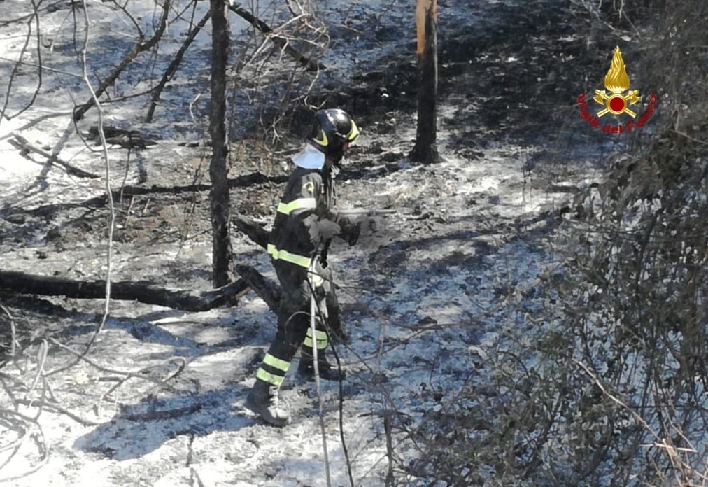 Tre le ipotesi all’origine del vasto incendio di ieri