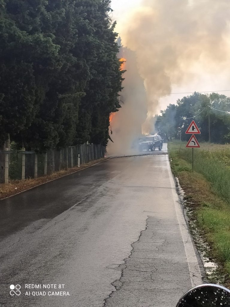 Recanati, un pino prende fuoco a causa di un fulmine