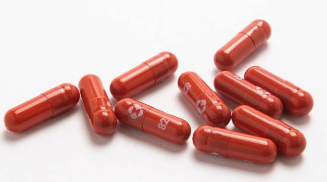 Molnupiravir, arriva nelle Marche la pillola anti-covid.