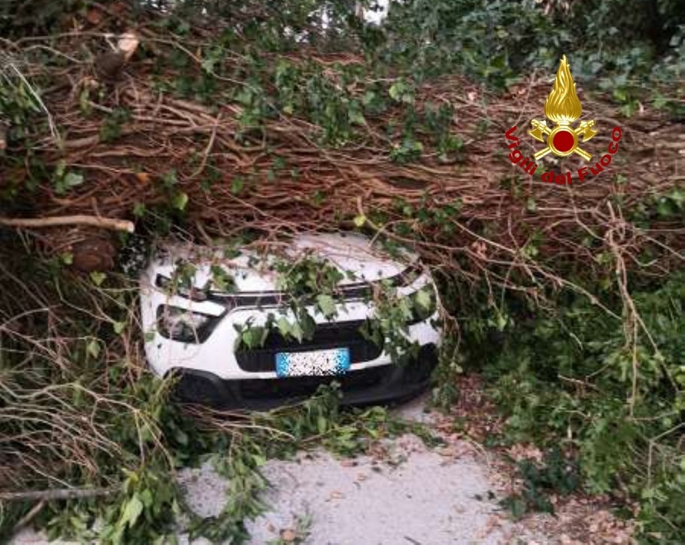A Montefano un grosso albero è caduto su una macchina in transito