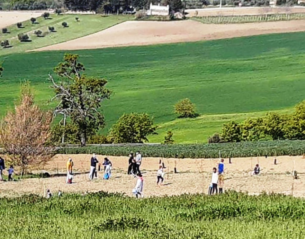 Recanati dedica un bosco alla memoria delle vittime del Covid -19
