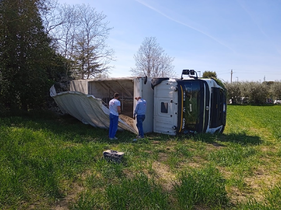 Recanati. Camion finisce fuori strada, abbatte due piante e si ribalta in un campo