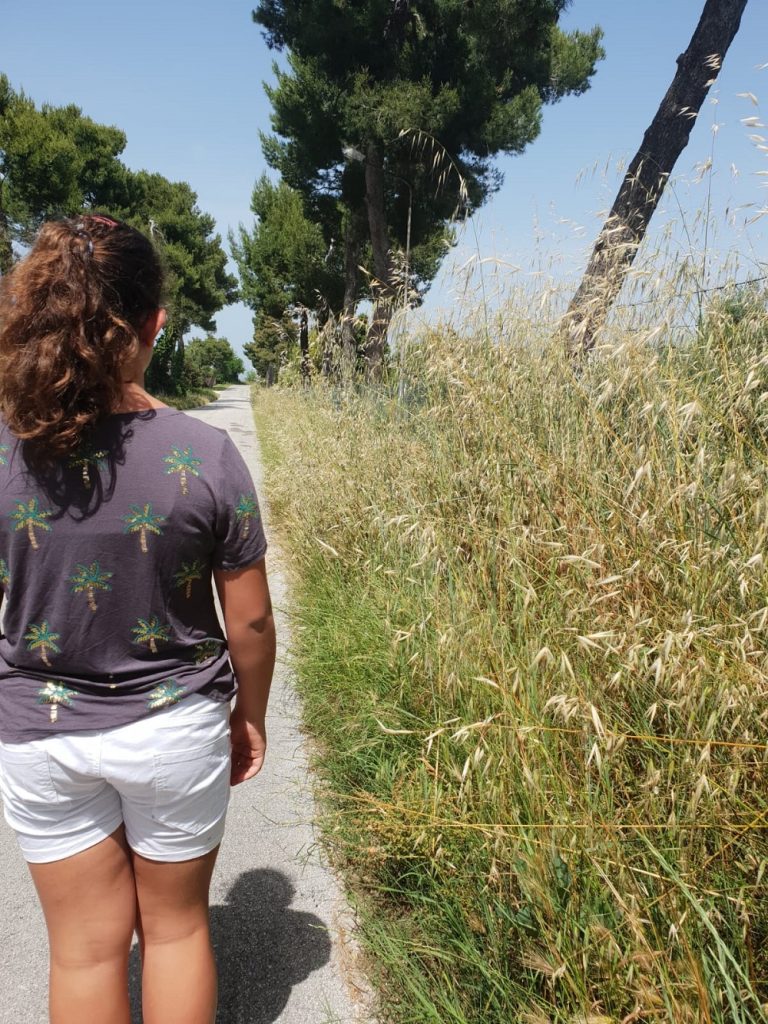 Porto Recanati: ecco quello che l’Amministrazione sta facendo per la cura del verde pubblico