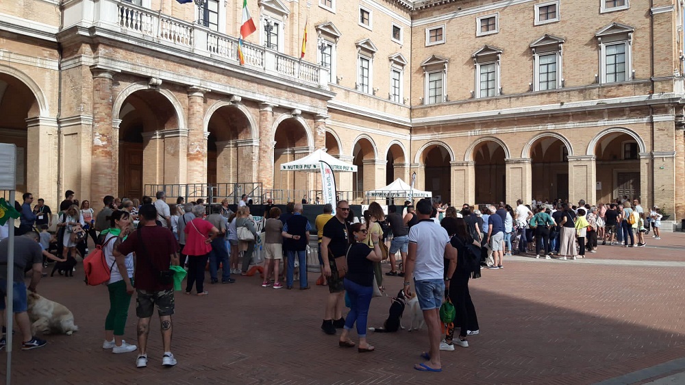 Grande successo della manifestazione “Quattro Zampe Alla Riscossa”