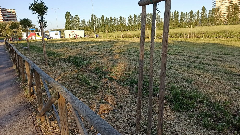 Centro destra Unito a Porto Recanati bacchetta la Giunta Michelini su manutenzione verde e cura della città