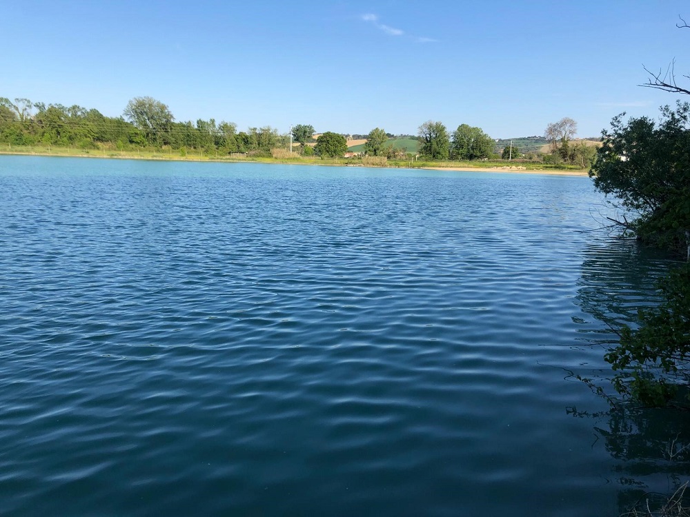 Visita guidata in una zona umida a Montelupone