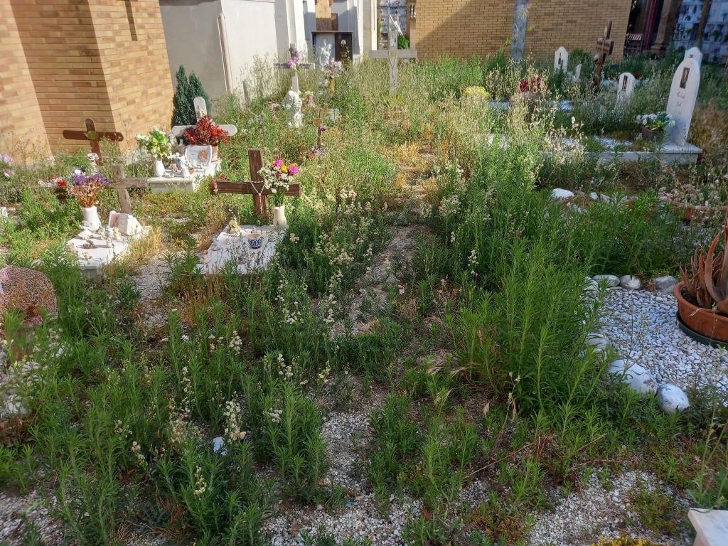 Porto Recanati: sequestrata zona posteriore alla parte nuova del civico cimitero