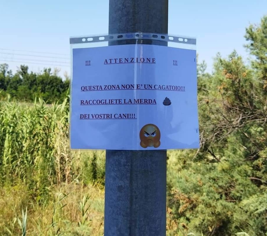 Porto Recanati: guerra alla cacca dei cani in viale della Repubblica