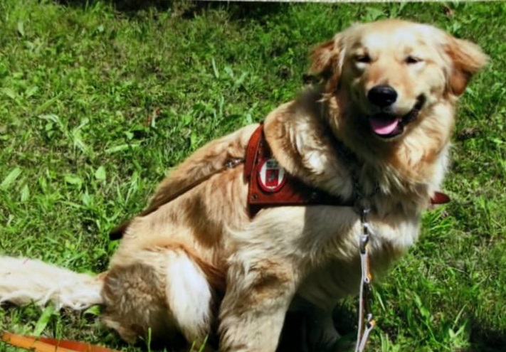 Recanati: troppi ostacoli per strada per utilizzare un cane-guida