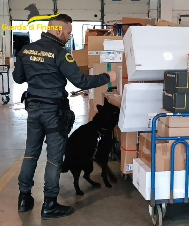GDF Macerata: sequestrati oltre 49 chili di stupefacente e denunciato un ventottenne.