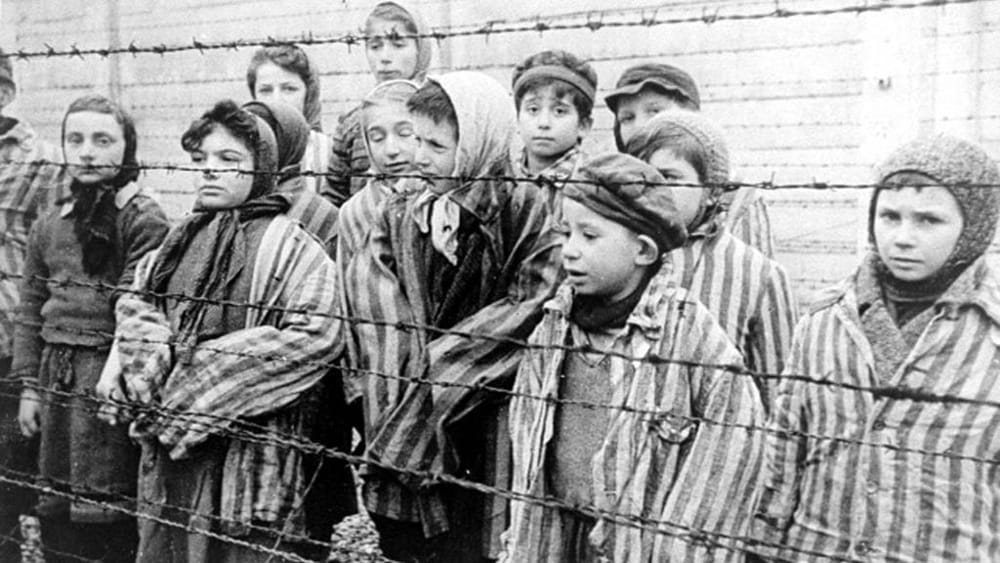 Giorno della Memoria con la lettura condivisa del libro “Il Girasole” di Simon Wiesenthal