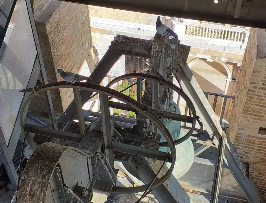 Recanati: pulizia straordinaria della Torre del Borgo per i troppi piccioni presenti