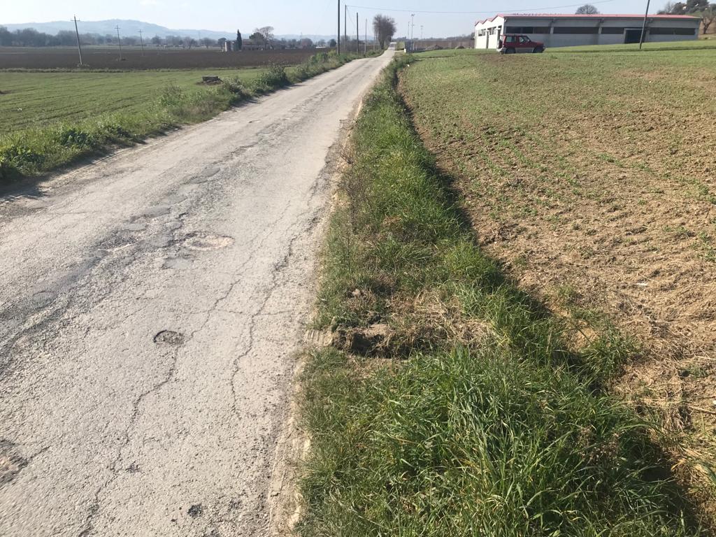 Recanati: multe per il mancato rispetto della capezzagna