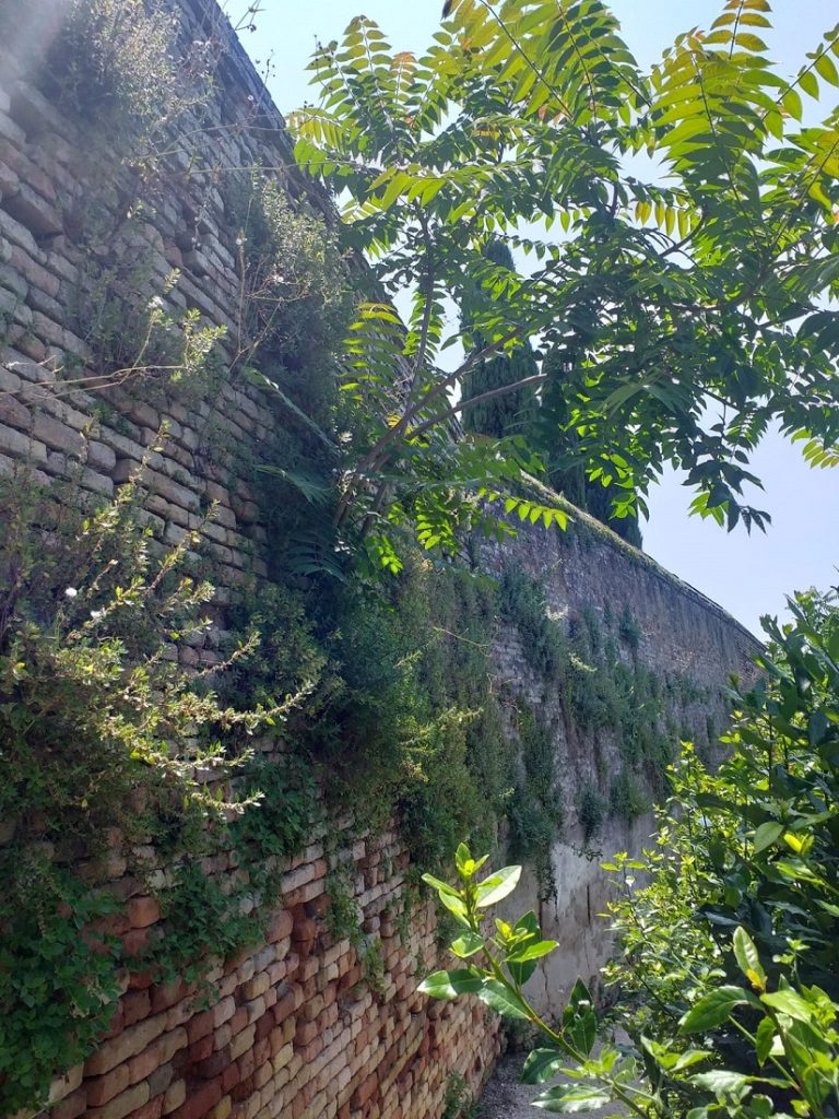 Recanati: l’incuria prende il sopravvento anche al Colle dell’Infinito