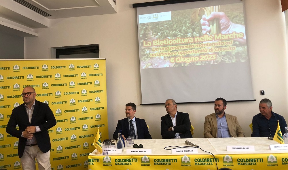 Coldiretti Marche: “Le aziende potranno entrare nel Distretto dello Zucchero Italiano”