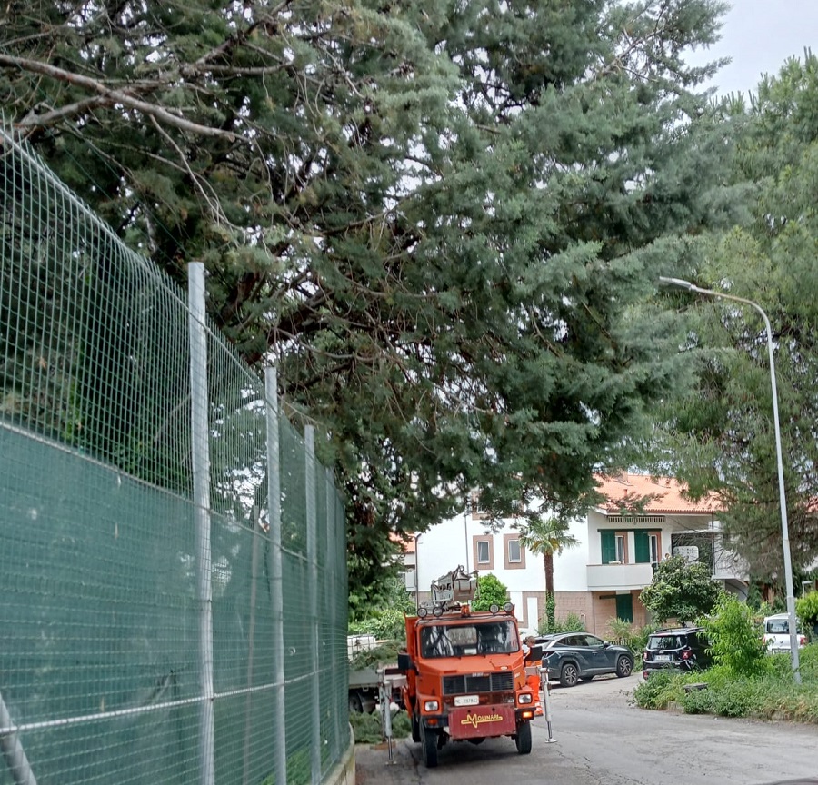 Recanati: in via Presutti arrivano finalmente a tagliare l’erba e a rimuovere un grosso ramo spezzato