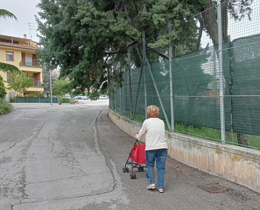 Recanati. Piante pericolanti perchè abbandonate ed erba alta e selvaggia.