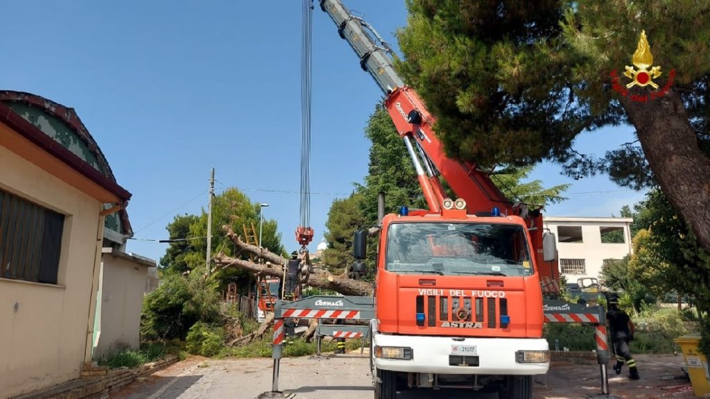 Loreto: Albero cade sulla strada e colpisce un’auto in sosta