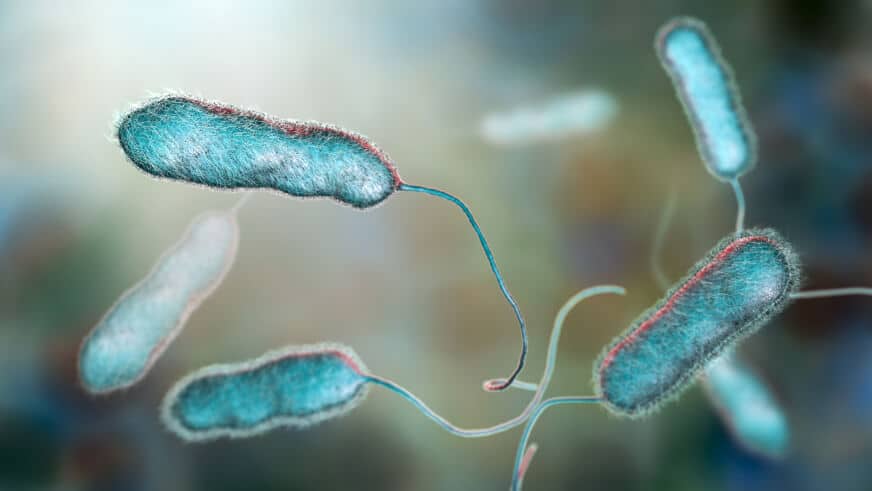 A Porto Recanati un caso di legionella porta al divieto di utilizzo di un appartamento al Jet Residence
