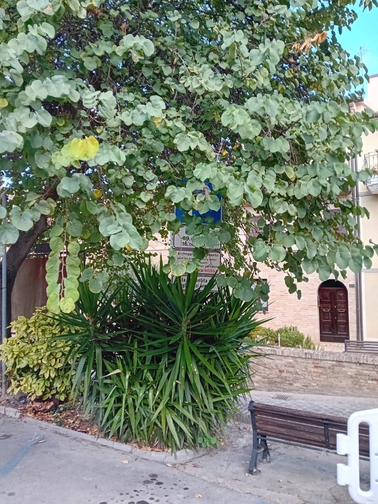 Recanati: indovina dov’è la segnaletica?
