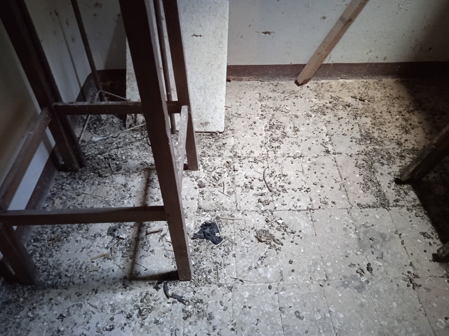 Interviene l’Ast nella chiesa San Vito. Disposta bonifica e derattizzazione