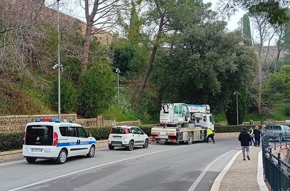Recanati: di fronte a tanta mobilitazione … il gattino se la dà a gambe