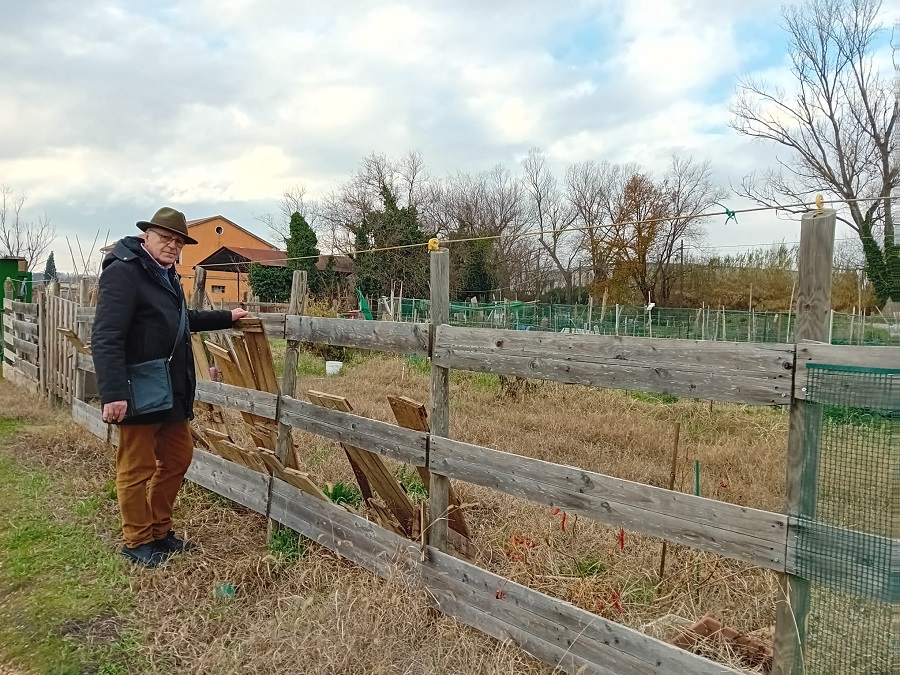 Recanati: orti sociali nel mirino dei ladri