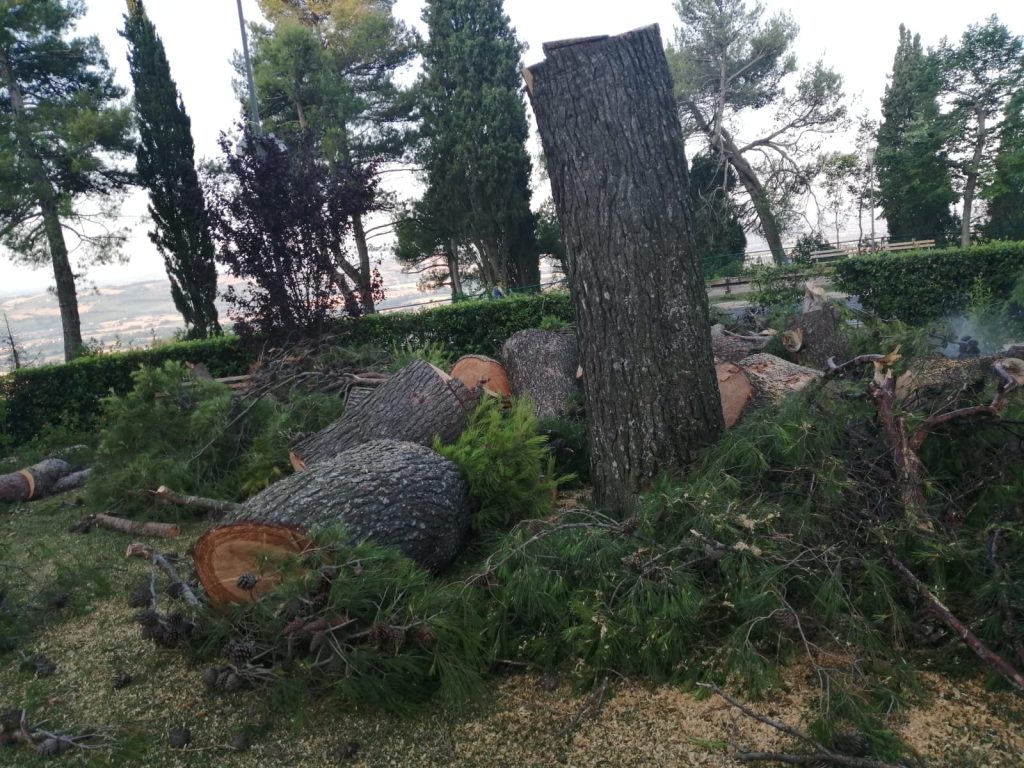 Il verde che non c’è o non viene curato.