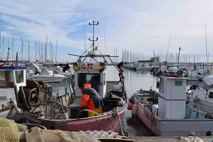 Porto Recanati. Sul problema della Piccola Pesca interviene il Gruppo consiliare Civico Progetto Comune