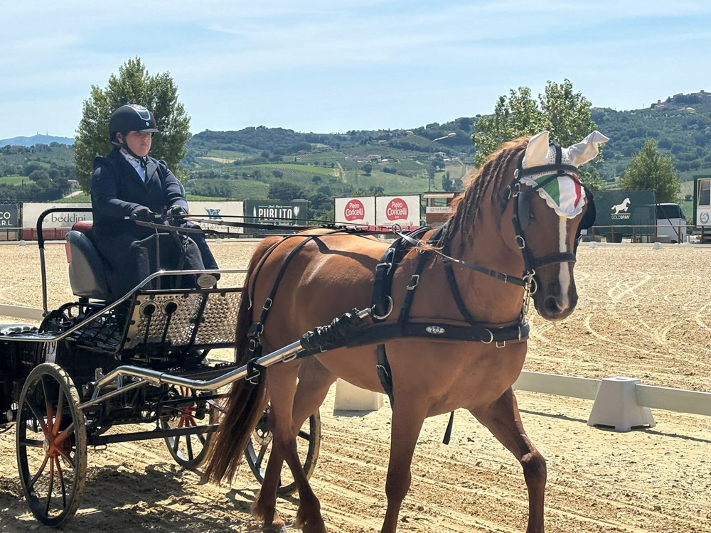 Ottimi risultati per tramite la “Scuderia Attacchi Marche Isabel Team” di Recanati