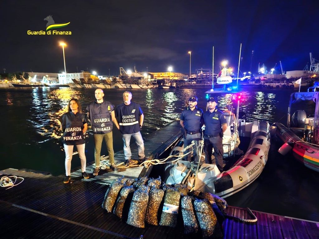 Ancona. Sequestrate dalla Guardia di Finanza 7 quintali di vongole pescate illegalmente