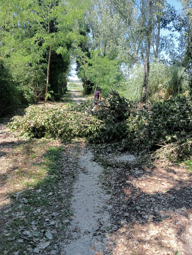 Recanati/Porto Recanati: il degrado della pista ciclabile sul Potenza