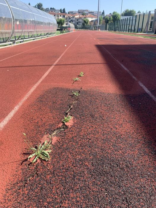 Recanati. Sopralluogo al capezzale della pista di atletica