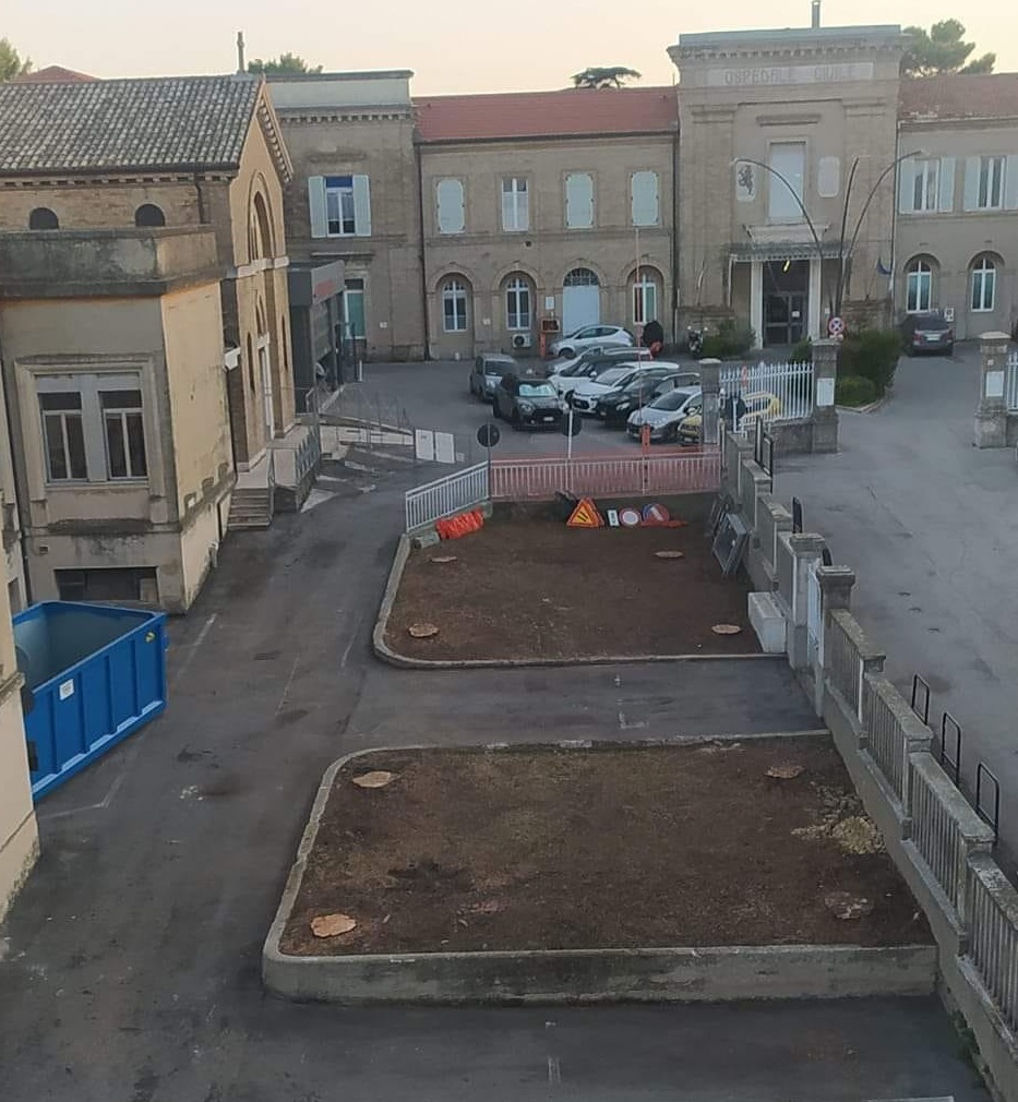 Recanati: Tagliate 8 piante nel piazzale del Santa Lucia