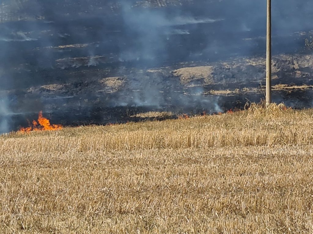 Recanati. Vasto incendio a contrada Saletta. Dieci ettari di terreno agricolo distrutti