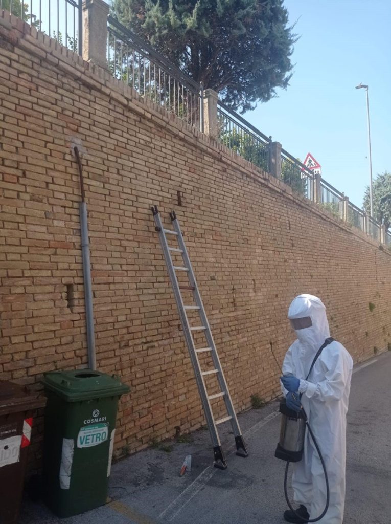 Recanati. Operatore al lavoro per eliminare un nido di calabroni