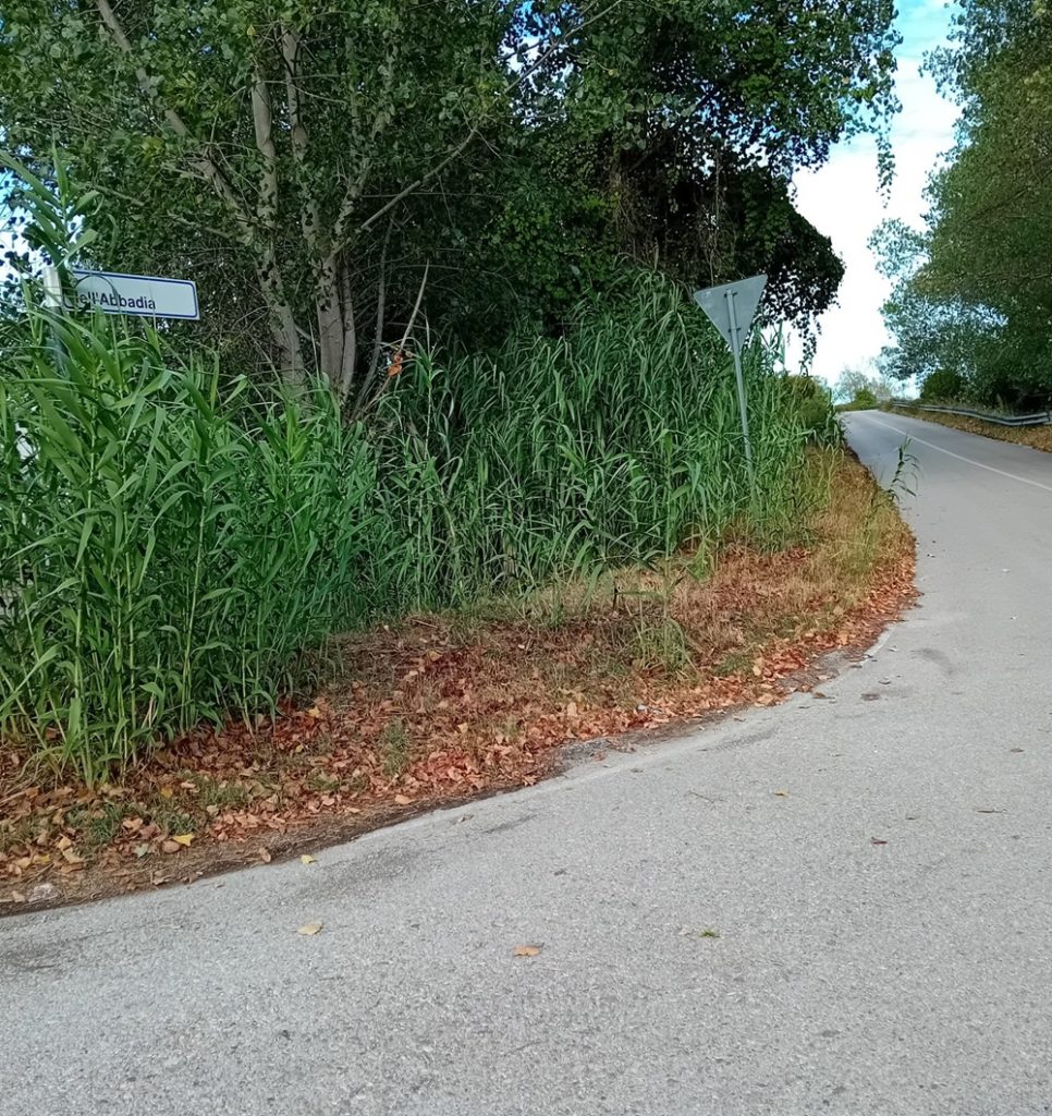 Porto Recanati. Il Comitato di quartiere Santa Maria in Potenza e i residenti bacchettano l’Amministrazione comunale.