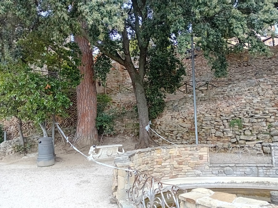 Recanati. Ai giardini pubblici c’è da tagliare un ramo pericolante