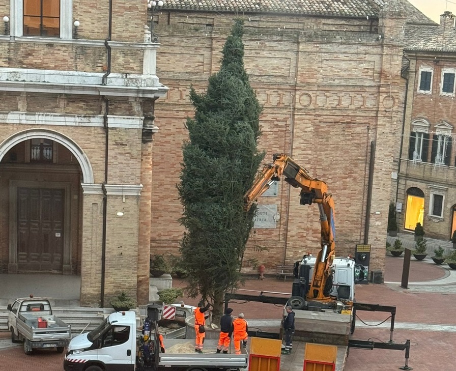 Recanati: in piazza arriva la pista di pattinaggio e il grande albero di Natale