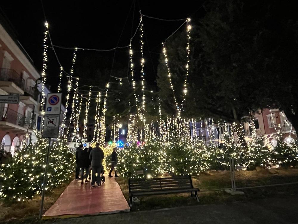 Il bosco luminoso: Natale magico e sostenibile a Porto Recanati