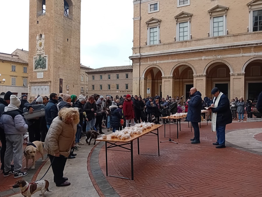 Recanati: Benedizione degli Animali e Focus sul Canile Comunale