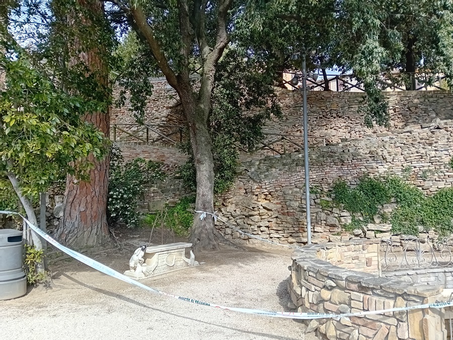 Quel ramo dei giardini pubblici. Ostacolo insormontabile…….per la burocrazia